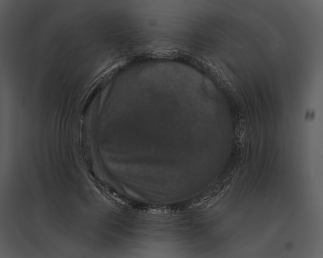 X0000095510744200801041159