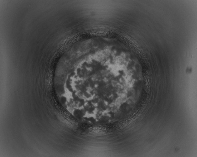 X0000095510745200801041159