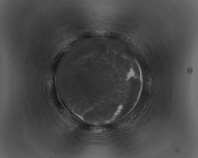 X0000095510746200801041159