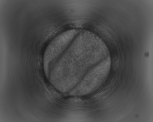 X0000095510747200801041159