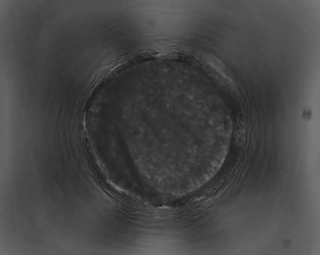 X0000095510748200801041159