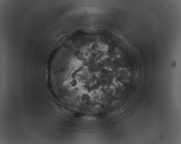 X0000095510749200801041200