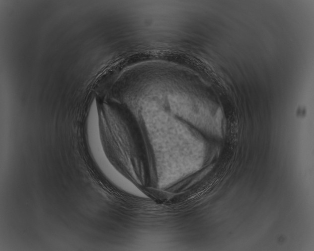 X0000095510750200801041200