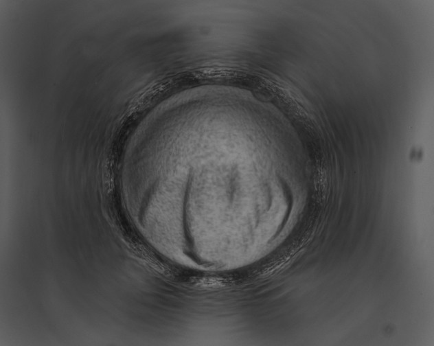 X0000095510751200801041200