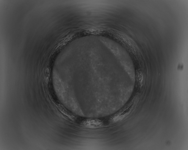 X0000095510752200801041200