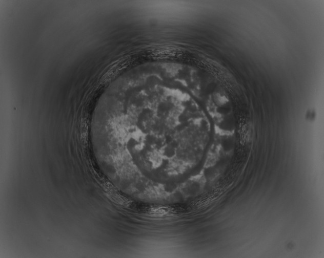 X0000095510753200801041200