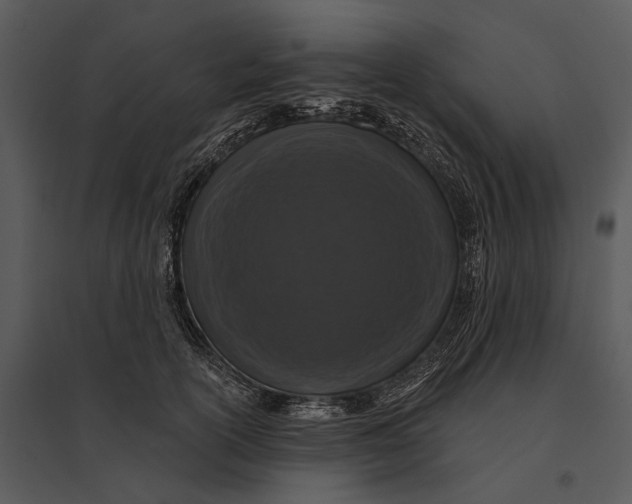 X0000095510754200801041200