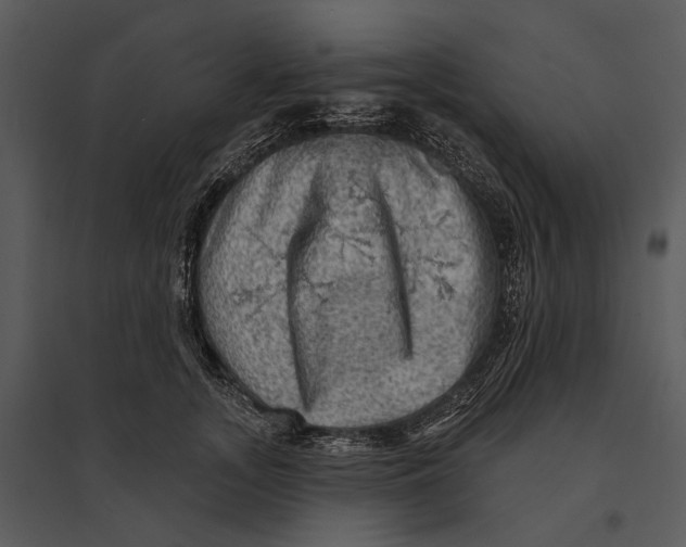 X0000095510755200801041200