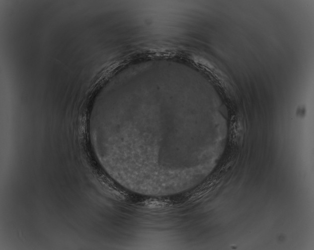 X0000095510756200801041200