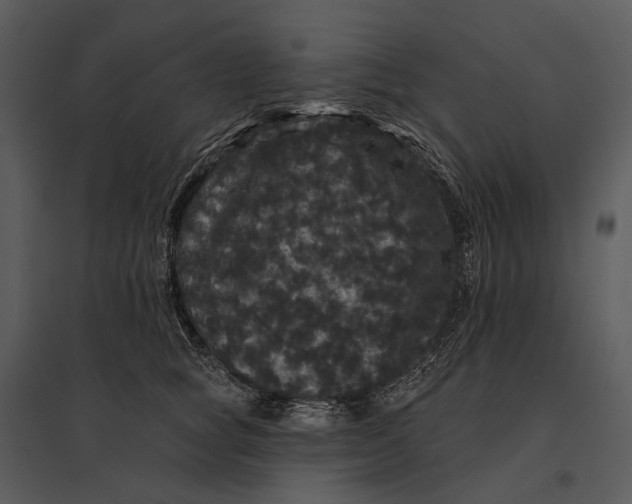 X0000095510757200801041200