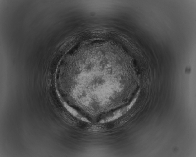 X0000095510758200801041200