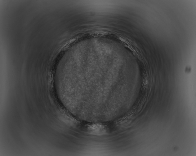 X0000095510759200801041200