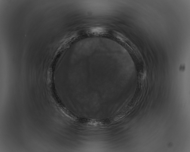 X0000095510760200801041200