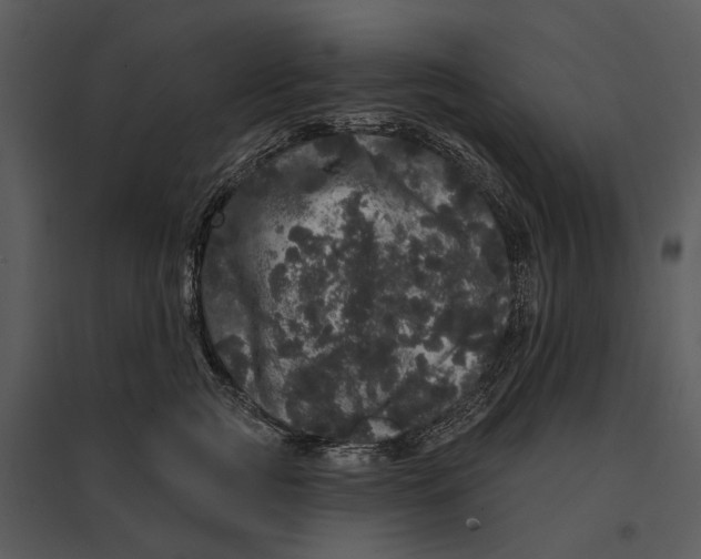 X0000095510761200801041200