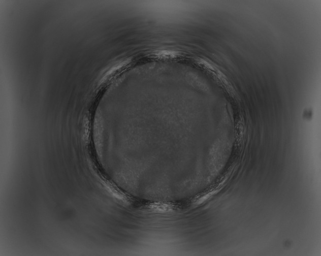 X0000095510762200801041200