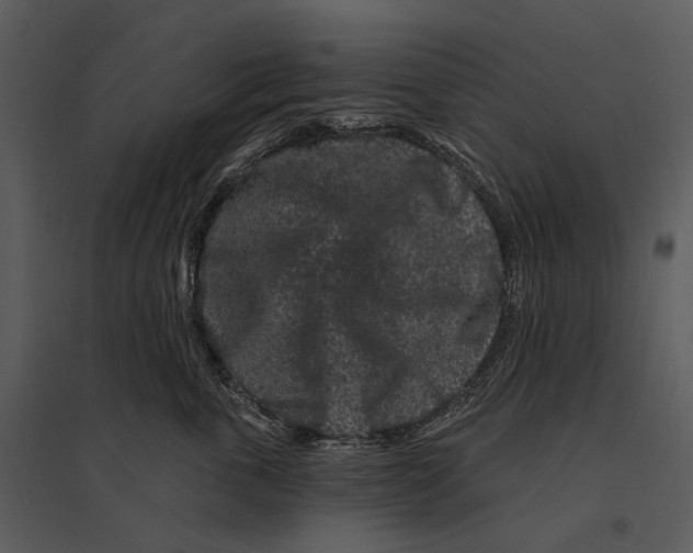 X0000095510763200801041200