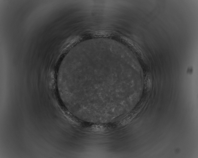 X0000095510764200801041200