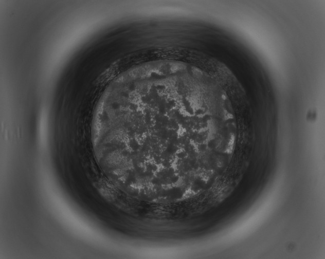 X0000095510765200801041200