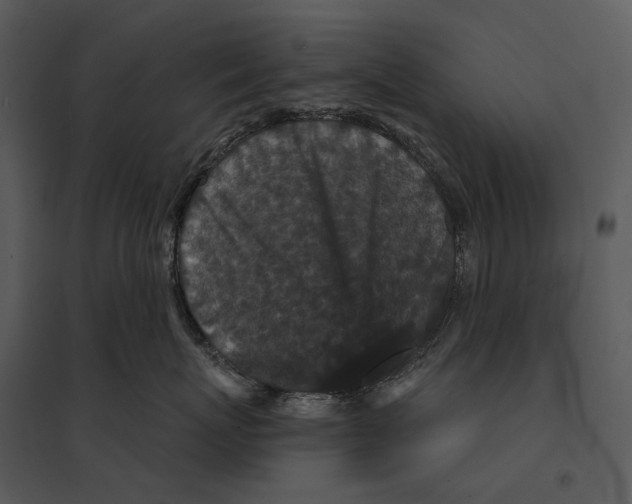 X0000095510767200801041200