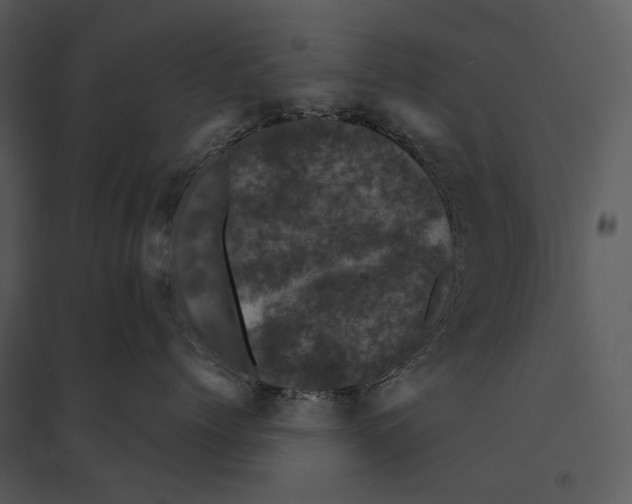 X0000095510768200801041200