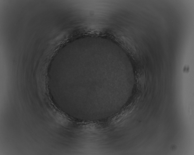 X0000095510769200801041159