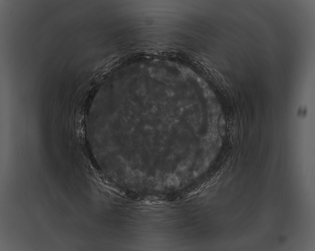 X0000095510770200801041159