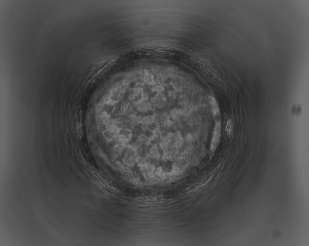 X0000095510771200801041159