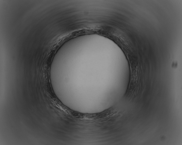 X0000095510773200801041159