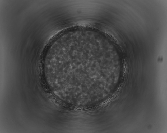 X0000095510776200801041159