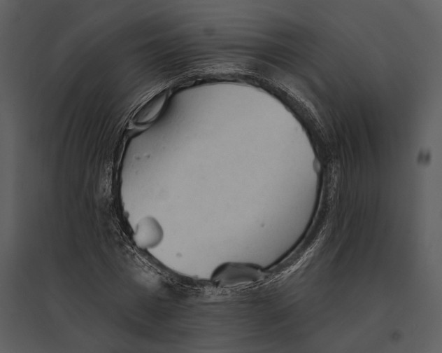 X0000095510777200801041159