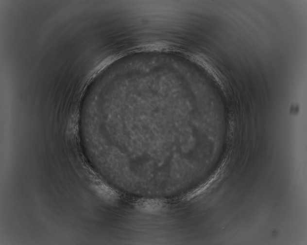 X0000095510778200801041159