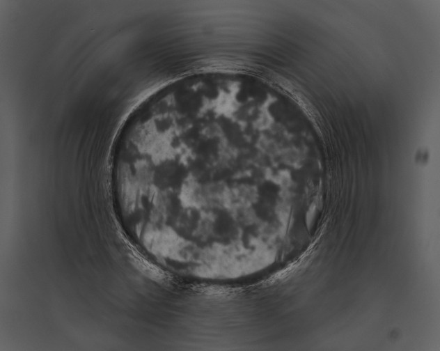 X0000095510779200801041159