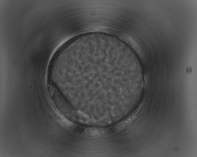 X0000095510780200801041159
