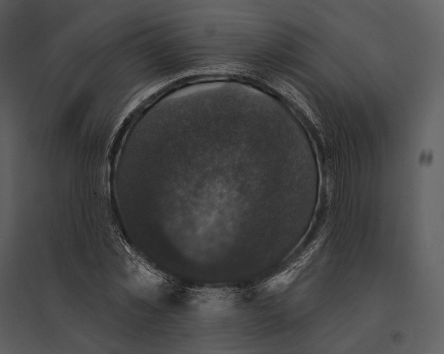 X0000095510781200801041159