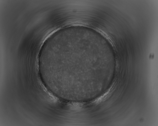 X0000095510782200801041159