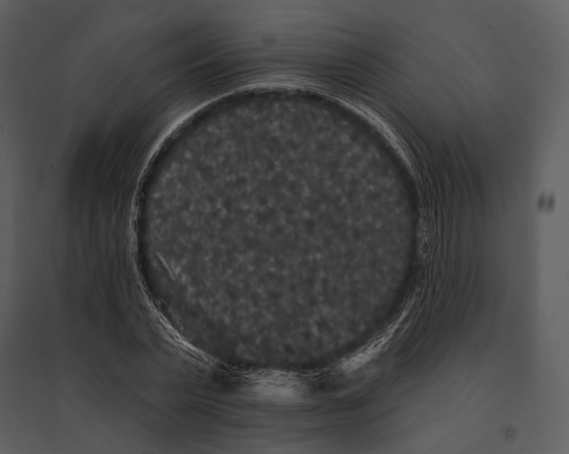 X0000095510783200801041159