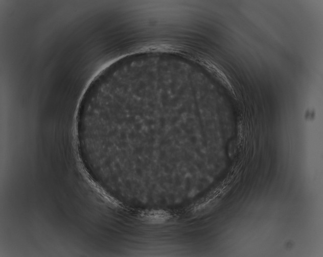 X0000095510784200801041159