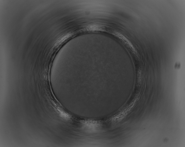 X0000095510785200801041159