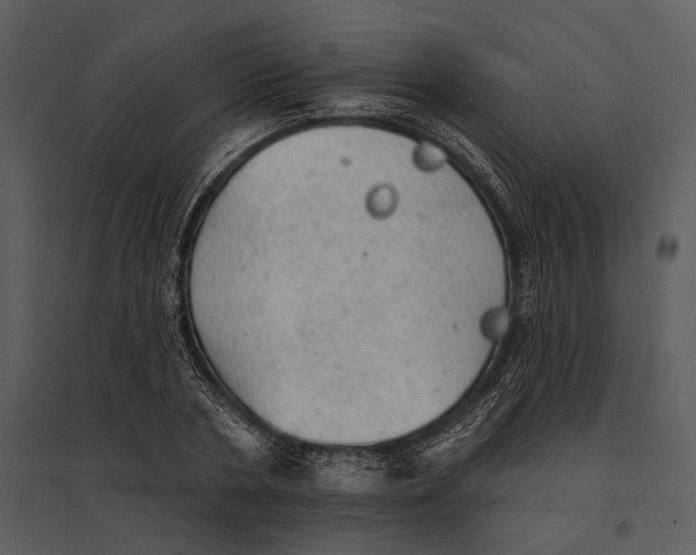 X0000095510786200801041159