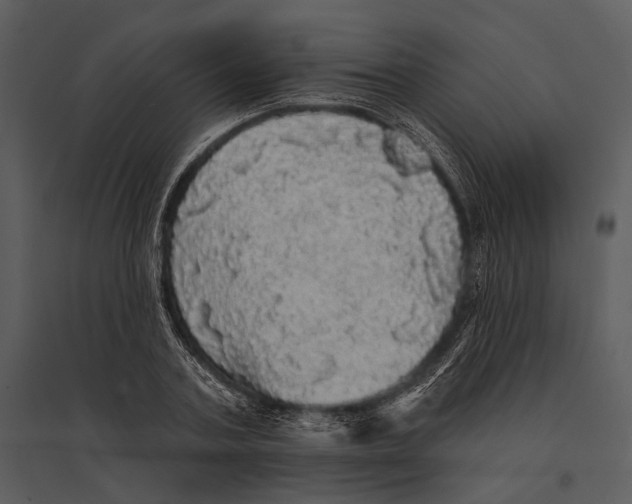 X0000095510787200801041159