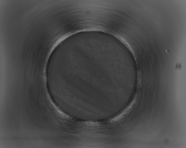 X0000095510789200801041159