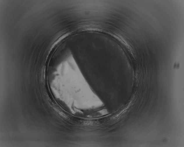 X0000095510790200801041159