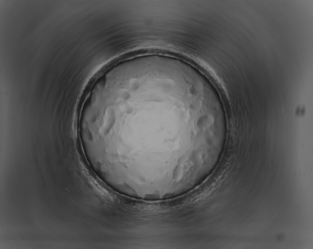 X0000095510791200801041159