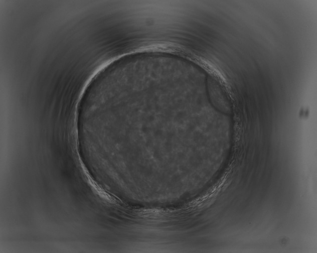 X0000095510792200801041159