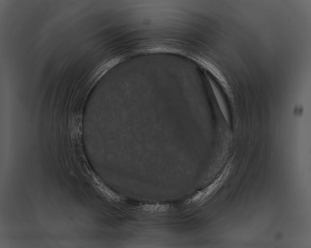 X0000095510793200801041159