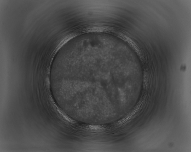 X0000095510794200801041159