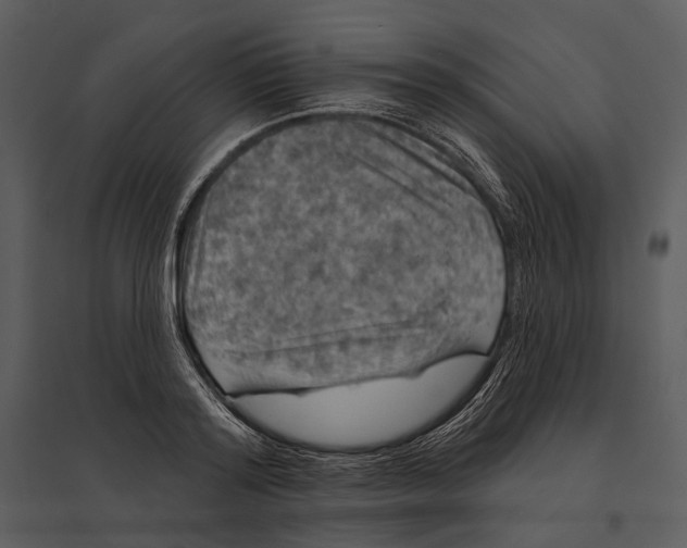 X0000095510796200801041159