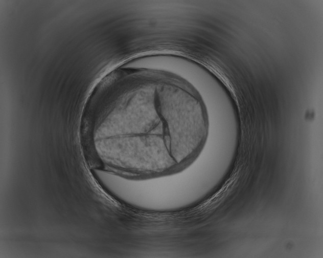 X0000095510797200801041159