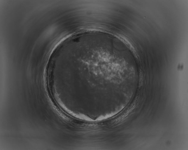X0000095510798200801041159