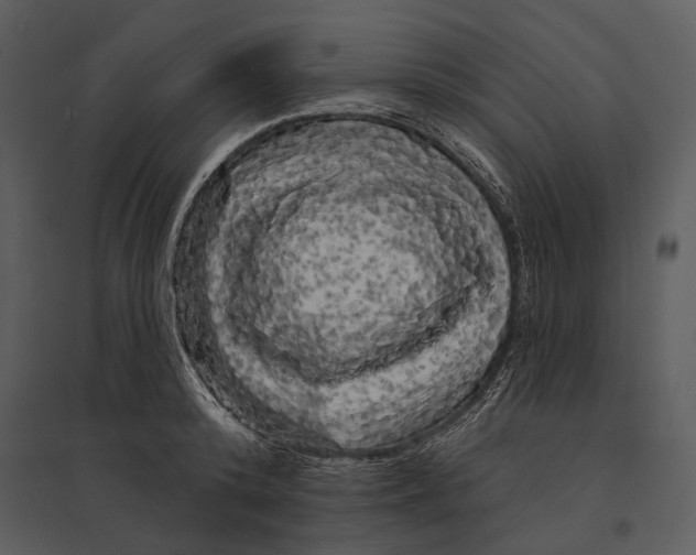 X0000095510800200801041159